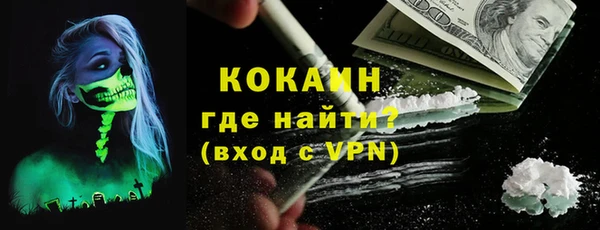 ECSTASY Лагань