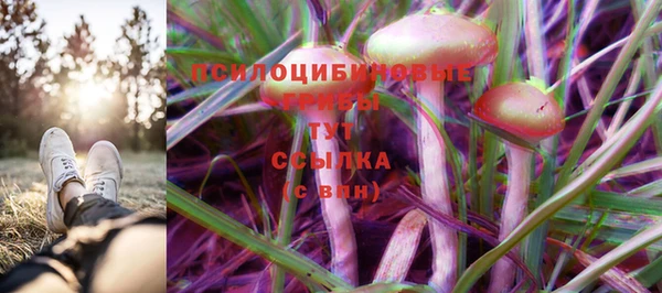 ECSTASY Лагань