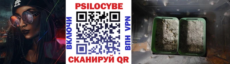 MEGA   дарнет шоп  Прокопьевск  мориарти официальный сайт  Псилоцибиновые грибы мицелий 