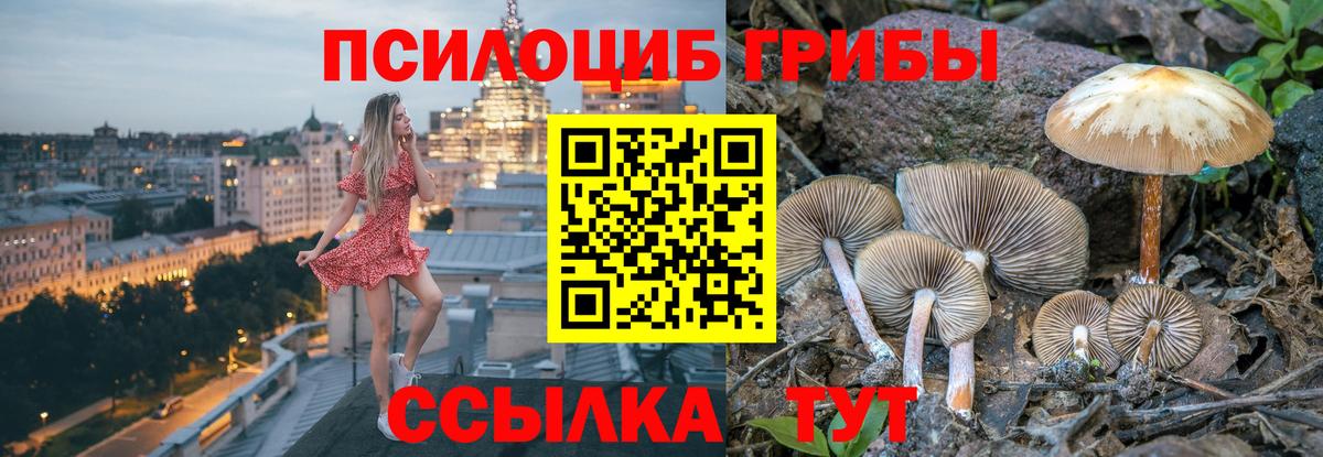 NBOMe Прокопьевск