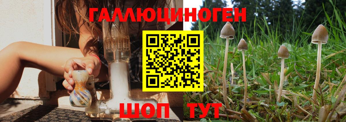 Псилоцибиновые грибы Magic Shrooms Прокопьевск